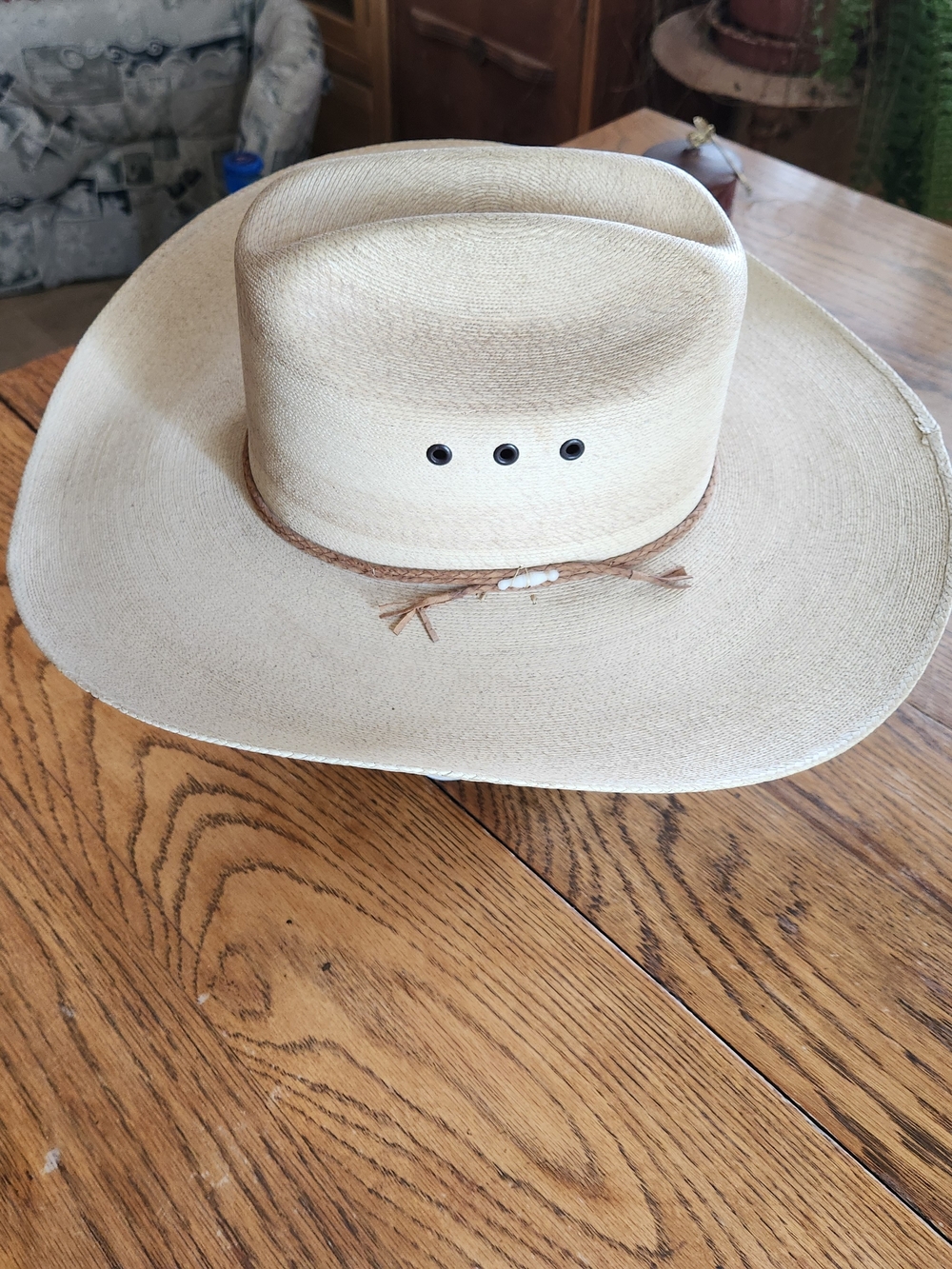 Natural Palm Straw Cowboy Hat with Braided Band